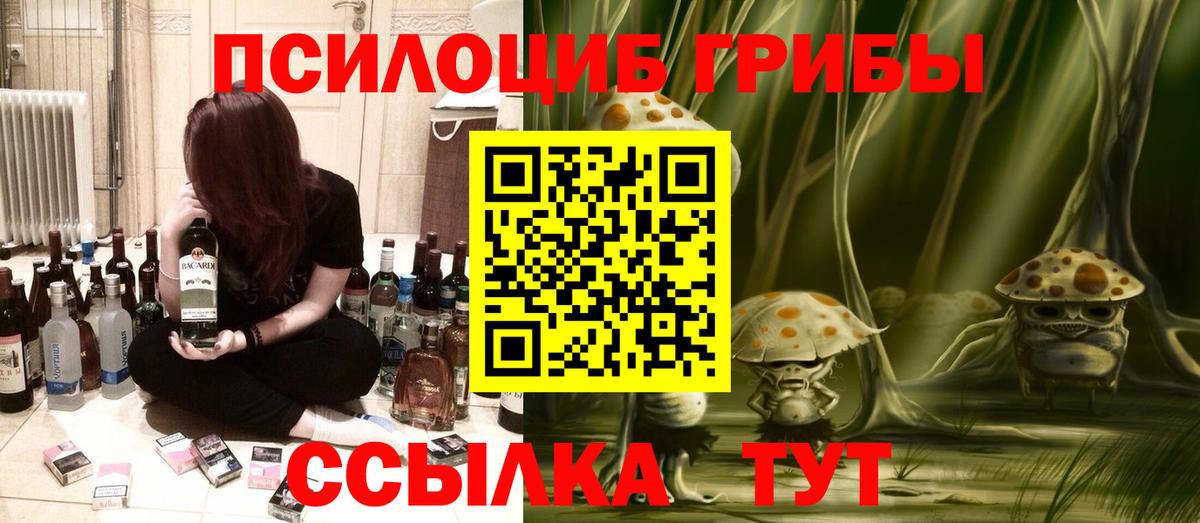 Псилоцибиновые грибы Cubensis  Вход с VPN  Краснокаменск  Псилоцибиновые грибы Cubensis 